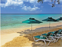 Settlers Barbados